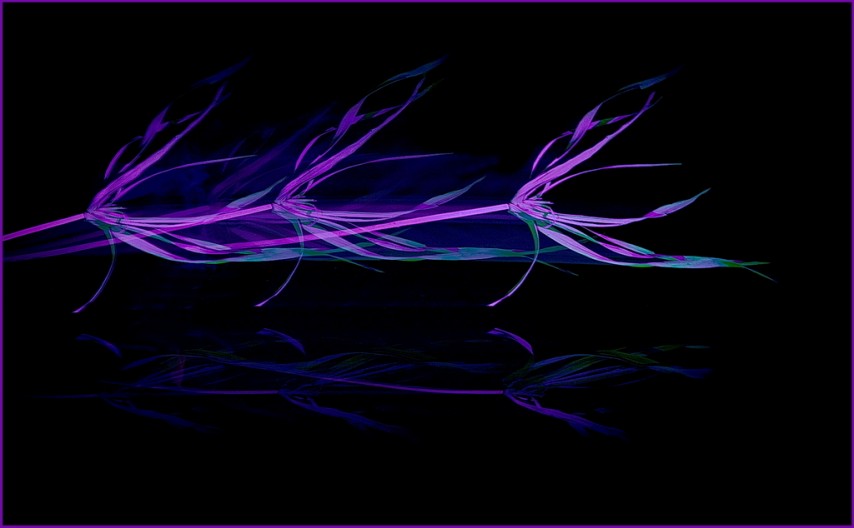 ACCEPTANCE.....Sharryl Whiting